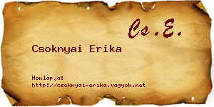 Csoknyai Erika névjegykártya