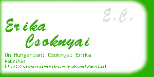 erika csoknyai business card